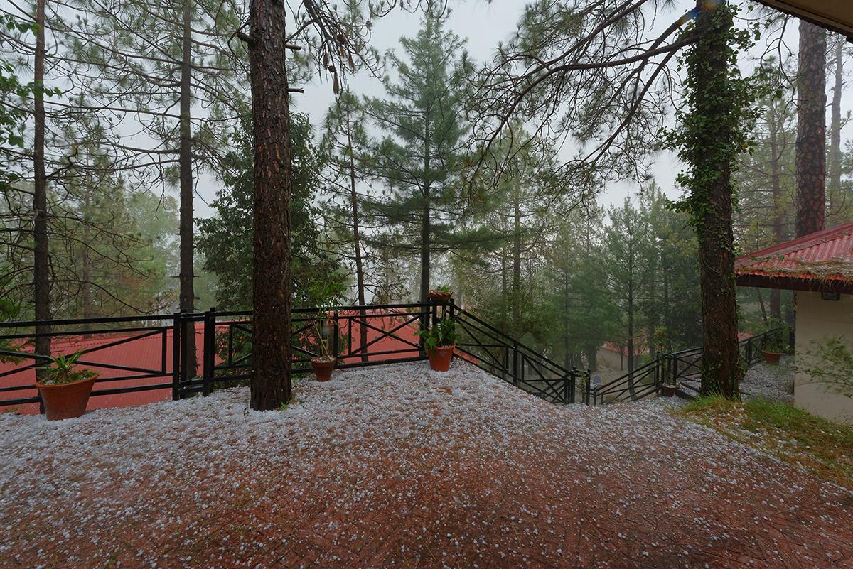 Hotel Arcadian Blue Pines Murree Zewnętrze zdjęcie